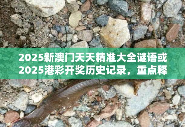 2025新澳门天天精准大全谜语或2025港彩开奖历史记录，重点释义、解释与落实,警惕不实的钓鱼钩