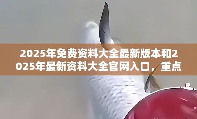 警惕不实钓鱼钩 第4页