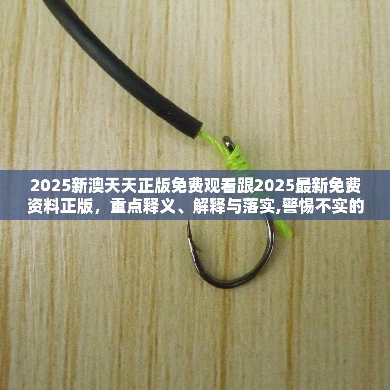 2025新澳天天正版免费观看跟2025最新免费资料正版，重点释义、解释与落实,警惕不实的钓鱼钩