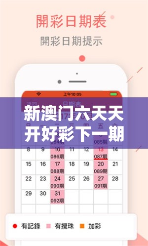 新澳门六天天开好彩下一期预测与2025年正版资料大全，升级分析、专家解读解释与落实,谨防华而不实包装