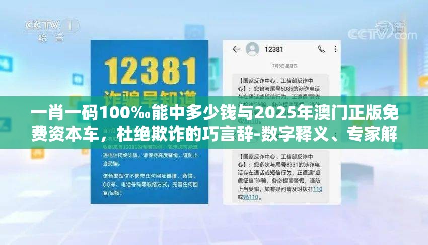 数字释义与专家解析解释